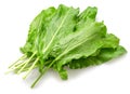 Sorrels vegetable leaves isolated on white background Royalty Free Stock Photo