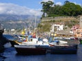 Sorrento Harbor with Boats, Hotels and Mountain Backdrop Royalty Free Stock Photo