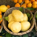 Sorrento lemons on the market