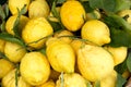 Sorrento lemons on the market