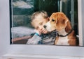 Sorrow little boy with best friend looking through window Royalty Free Stock Photo