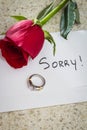 Sorry, broken engagement Royalty Free Stock Photo