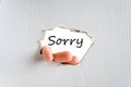 Sorry Concept Royalty Free Stock Photo