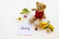 Sorry message card handwriting with colorful flowers cosmos, ylang ylang and teddy bear Royalty Free Stock Photo