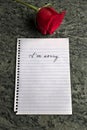 A Sorry Note with a Single Red Rose Beside it