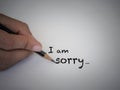 Sorry text concept write with black pencil on white background.