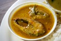 Sorshe Ilish, Bengal Dishes Hilsa Fish Cooked with Mustard Royalty Free Stock Photo