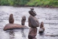 Sort the rocks in the river,wth blur background Royalty Free Stock Photo