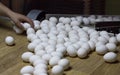 Sorting chicken eggs by workers at a poultry farm, close-up, process