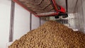 After sorting and culling at warehouse, potatoes are placed on conveyor belt, then loaded on truck for further