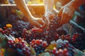 Sorting grapes on the winery close-up, generative ai