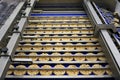 Sorting of round dietary loaves on conveyor automated machine