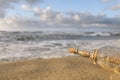 SOS message in glass bottle on sand near sea, closeup. Space for text Royalty Free Stock Photo