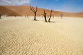 Sossusvlei desert, Namibia Royalty Free Stock Photo