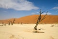 Sossusvlei desert, Namibia Royalty Free Stock Photo