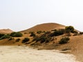 The Sossusvlei desert, Namibia. Nobody. Nature, Africa, Sands