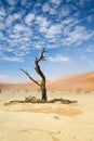 Sossusvlei desert, Namibia Royalty Free Stock Photo