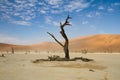 Sossusvlei desert, Namibia Royalty Free Stock Photo