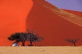 Sossusvlei - Dune 45