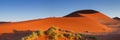 Sossusvlei dune in the early morning light Royalty Free Stock Photo