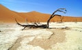 Sossusvlei Dunes, Namib Desert, Namibia Royalty Free Stock Photo