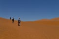 Sossusvlei dunes. Namibian desert