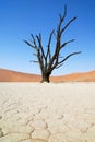 Sossusvlei, Namib Naukluft National Park, Namibia Royalty Free Stock Photo