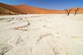 Sossusvlei, Namib Naukluft National Park, Namibia Royalty Free Stock Photo