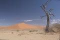 Sossusvlei Namib-Naukluft Park - Namibia