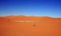 Onage sand dunes in Namibian desert with people walking across the sand