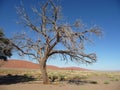 Sossusvlei Namibia Dune45 Royalty Free Stock Photo