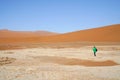 Sossusvlei dunes at Dead Vlei