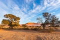 Sossusvlei Namibia, scenic clay salt flat with braided Acacia trees and majestic sand dunes. Namib Naukluft National Park, travel Royalty Free Stock Photo