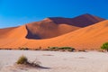 Sossusvlei Namibia, travel destination in Africa. Sand Dunes and clay salt pan with acacia trees, Namib Naukluft National Park, Na Royalty Free Stock Photo