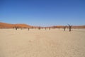 Sossusvlei Salt Pan Desert Landscape with Dead Trees and People