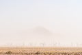 Sossusvlei in a sandstorm