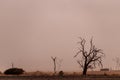 Sossusvlei in a sandstorm