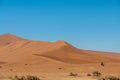 Dunes near Deadvlei, Sossusvlei near Sesriem in Namibia.