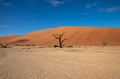 Dunes near Deadvlei, Sossusvlei near Sesriem in Namibia. Royalty Free Stock Photo