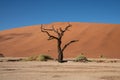 Dunes near Deadvlei, Sossusvlei near Sesriem in Namibia. Royalty Free Stock Photo