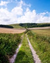 Soth Downs, East Sussex, UK, a country lane track leading into r Royalty Free Stock Photo