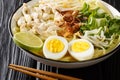Soto Ayam is a chicken noodle soup popular in Malaysia and Indonesia close up in the plate. Horizontal Royalty Free Stock Photo