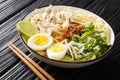 Soto Ayam is a classic chicken soup from Indonesia but also popular in Singapore and Malaysia close up in the plate. Horizontal