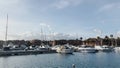 Sotogrande Spain - 25 March 2024 A lavish marina lined with colourful houses and palm trees, showcasing an array of
