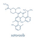 Sotorasib cancer drug molecule. Skeletal formula