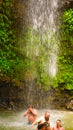Soufriere, Saint Lucia - May 12, 2016: A waterfall at the Botanical Gardens in Saint Lucia