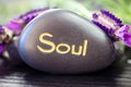 Soul lava stone Royalty Free Stock Photo