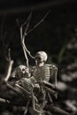 Soulmate skeleton lovers fall in love