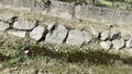 Soultz-Haut-Rhin, France - October 10 2023: Dwindling Waters: The Rimbach Streambed of Soultz-Haut-Rhin in Alsace's Embrace