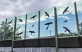 Sound-absorbing glass screen along the road in the city center.